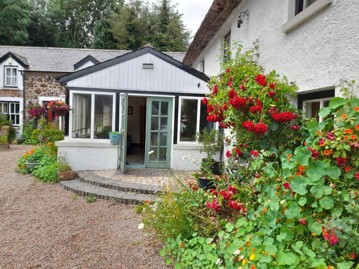 Berwickhall Apartment Craigavon المظهر الخارجي الصورة