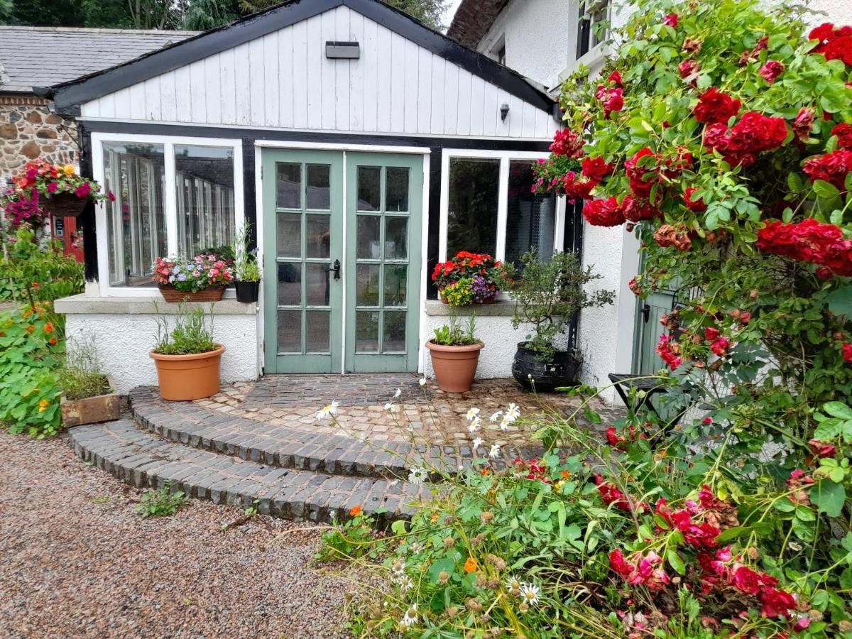 Berwickhall Apartment Craigavon المظهر الخارجي الصورة
